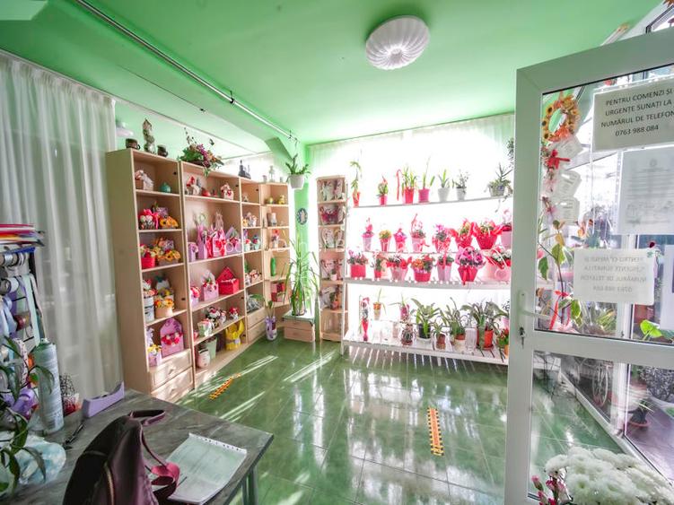 🏡 Casă de vânzare în Cristur – Str. Ulița Mare nr. 43 - 5