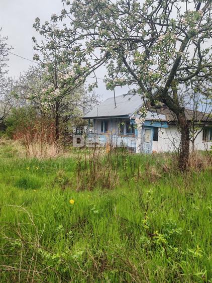 Teren intravilan in suprafata de 3160 mp, Puscasi, Poiana lui Alexa