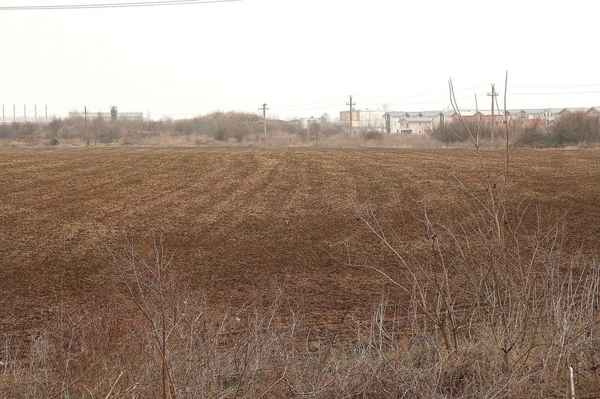 OTOPENI - Str. Drumul Garii Balotesti, 42100 mp. teren intravilan
