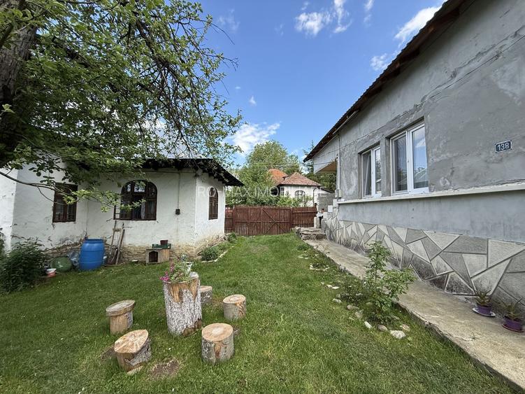 2 Case + teren 1390 mp langa parcul central Provita de Sus - 33