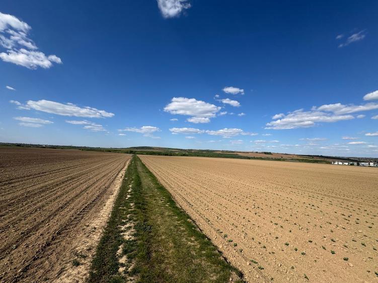 Teren extravilan de vânzare în Paleu