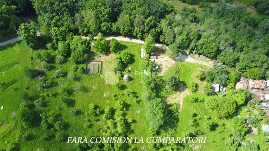 DEALUL MALULUI, TEREN 1500 MP INCONJURAT DE PADURE - 3