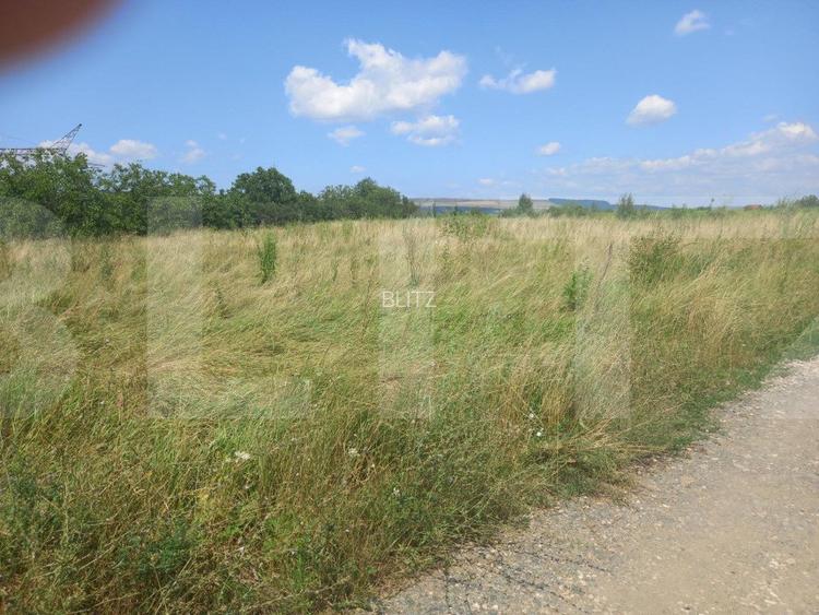 Investitie ! Teren intravilan in Sopor, 2500 mp , front 36 m ! - 5