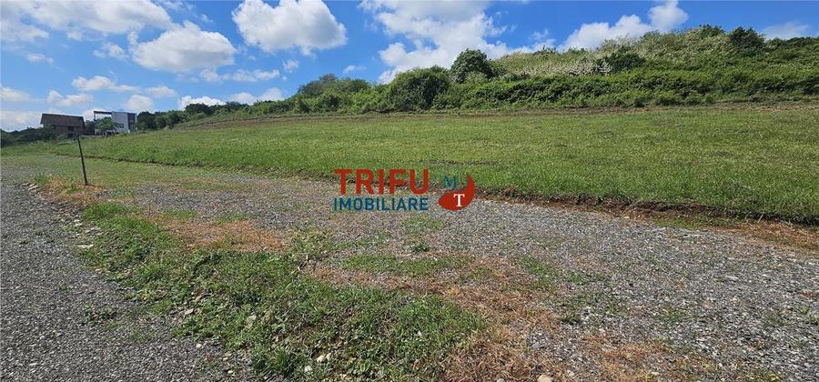 Teren de vanzare zona Piata 716mp