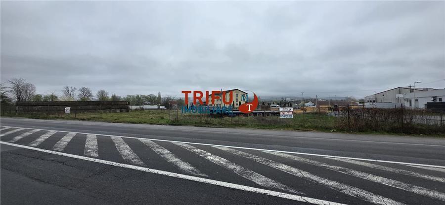 Teren premium DN1 – perfect pentru business, trafic intens!