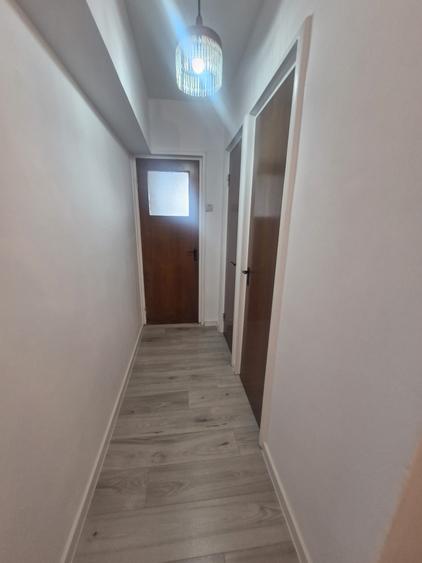Vedere spectaculoasa spre Parcul Drumul Taberei /2 camere renovate/50mp