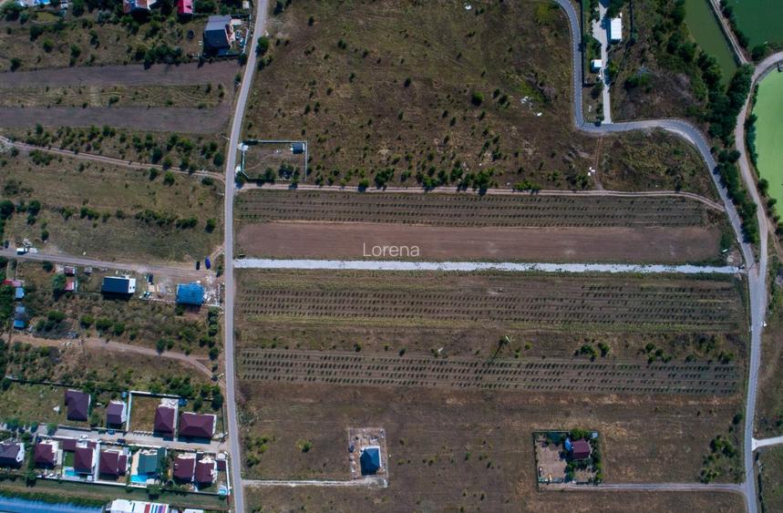 Vanzare teren cu UTILITATI in Branesti langa LAC si PADURE - str Lotusului - 3