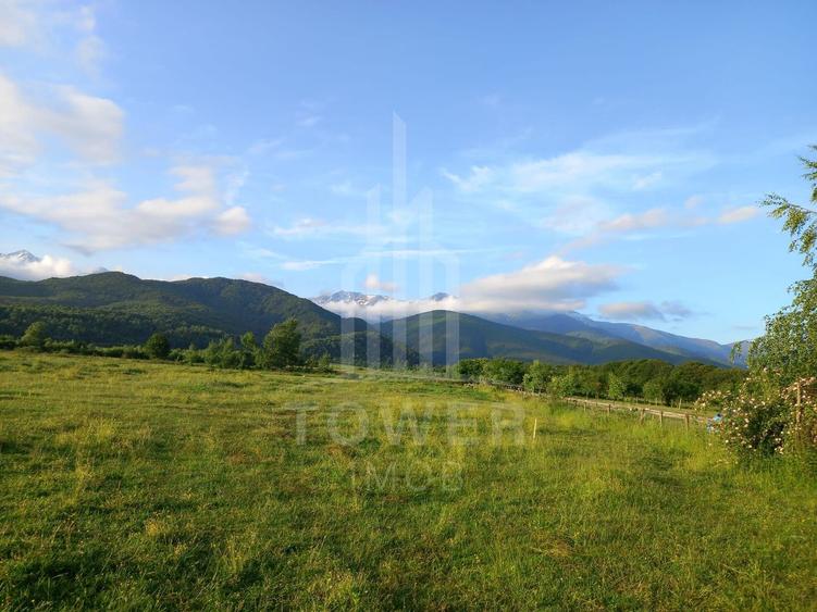 Teren intravilan de vânzare | Valea Avrigului-Porumbacu de Jos