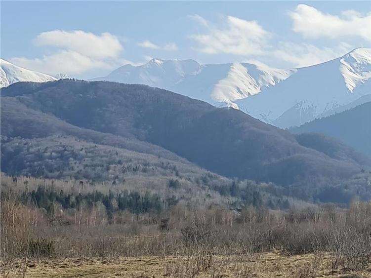 Teren intravilan 2500mp pe Valea Avrigului,optim casa de vacanta