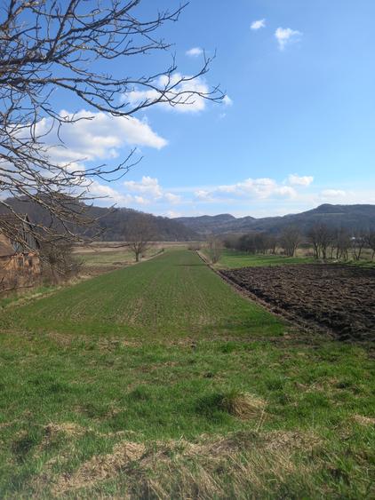 Teren intravilan