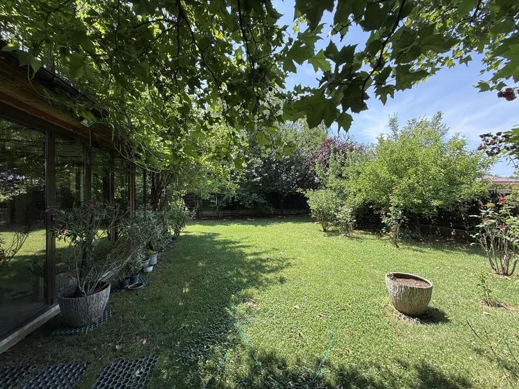 Casa pe parter Balotesti | Teren 600 mp