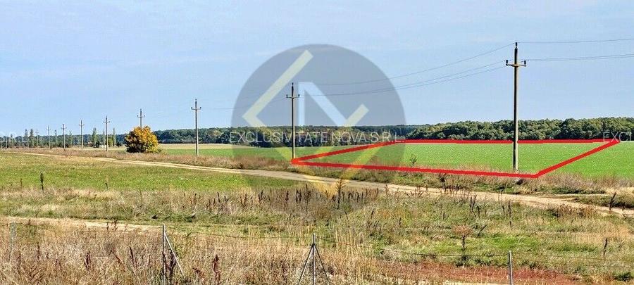 Teren 9Ha -> 16Ha Ha Intravilan , Exit A3 Snagov Ghermanesti Bucuresti-Ploiesti - 4
