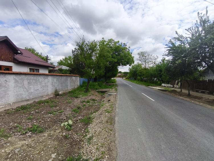 ROANDY-Casa renovata in Draganesti