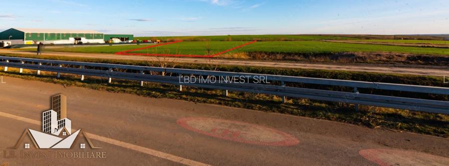 Teren Giarmata-PUG de locuinte- 100.000euro - 3