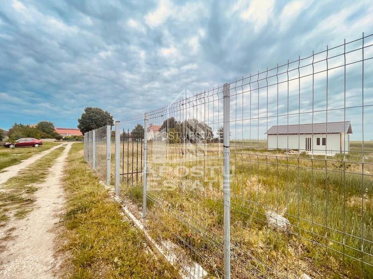 Teren Intravilan cu Constructie Zimandu Nou - 15