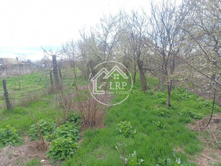 Vilă P+1 în Amara | 1.170 mp Teren | Toate utilitățile | Str. Băilor