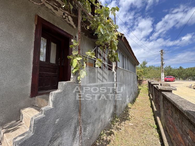 Casa batraneasca cu 3 camere si teren de 841mp, in Racastie, Hunedoara