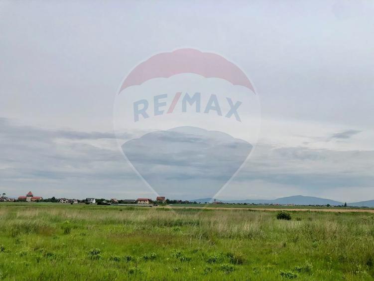 Comision 0% | 4 Parcele 538mp | Harman, Strada MIHAIL SADOVEANU