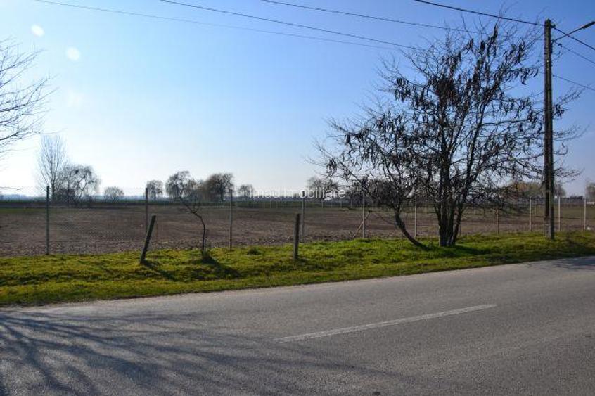 Vanzare Teren intravilan, 5600 mp in Mircea Voda - Dambovita. - 2