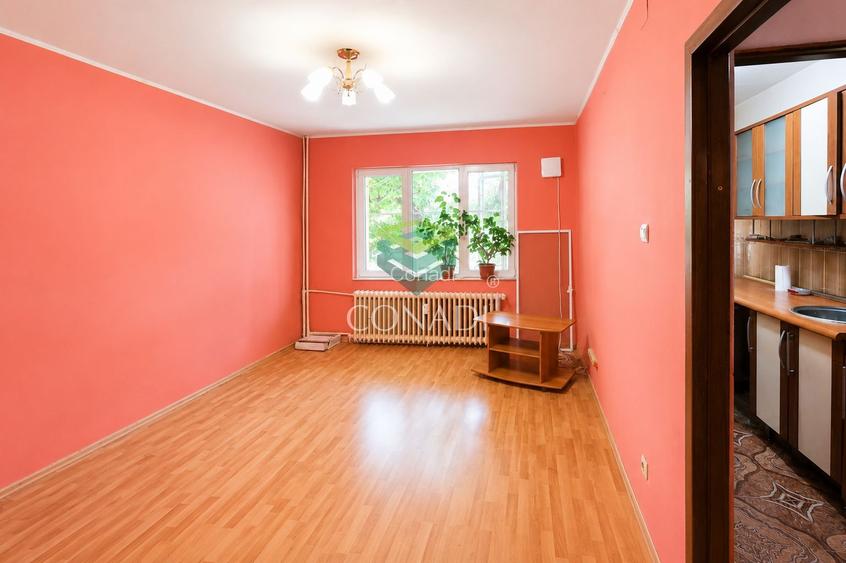 Apartament zona Dristor Ramnicu Sarat  Ideal Investitie si Renovare - 3