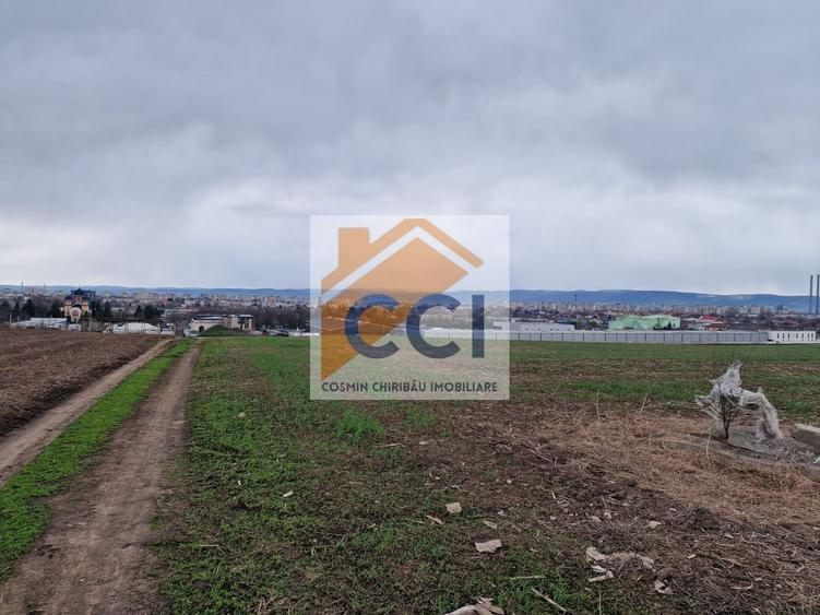Teren 10,000mp Bacau / Strada Alexandru Safran
