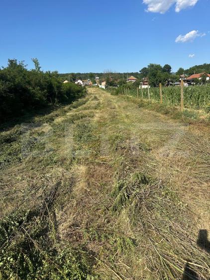Teren 2280 mp, zona Balesti