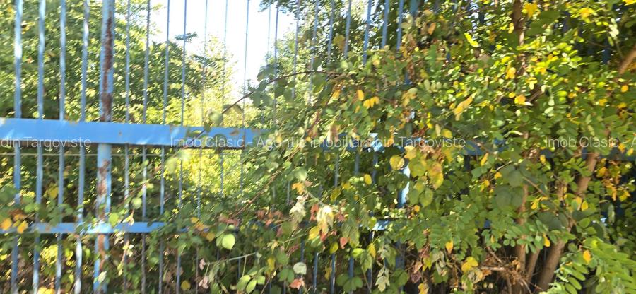 Vânzare teren intravilan 24.460 mp – Șoseaua Găești | Zonă industrială - 3