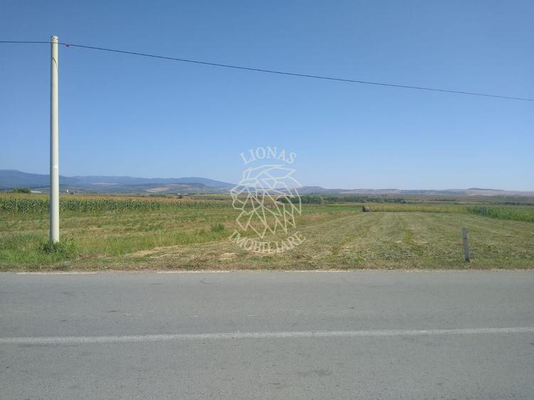 Teren 20000 mp (2 ha)-parcelabil-ideal cabane/agricultura/ferma-Jelna