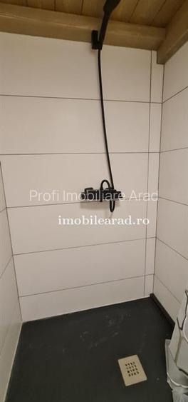 Apartament in stil unic, langa Primaria Arad, amenajat cu designer, mobilat/dota - 11