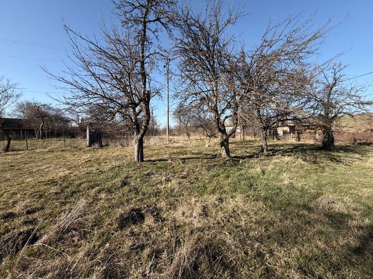 Casă 2 camere 52 mp + teren 1.605 mp Boroșneu Mic