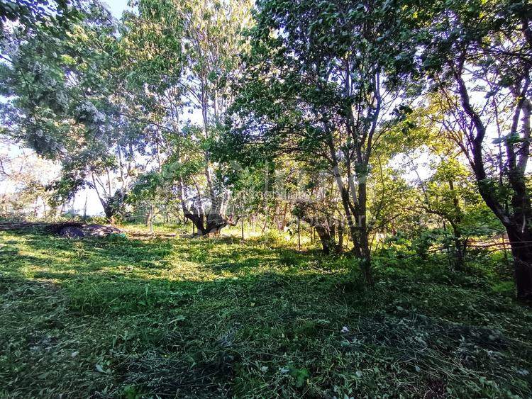 Teren intravilan 1340mp ideal pentru casa in Sat Gheorghieni! - 5
