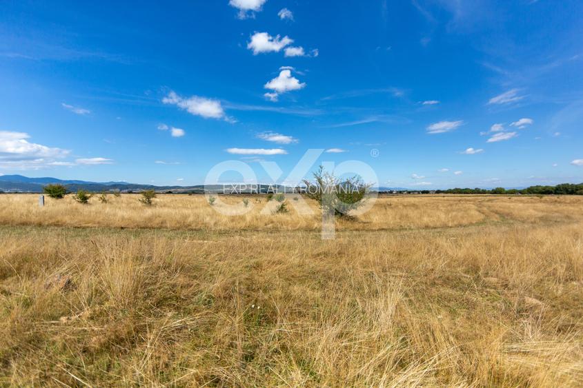 4.260 mp intravilan | 4 loturi | Valea Glăjăriei – Râșnov | 40 €/mp - 4