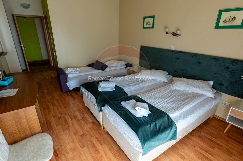 Hotel / Pensiune in Hateg, Jud Hunedoara - 38
