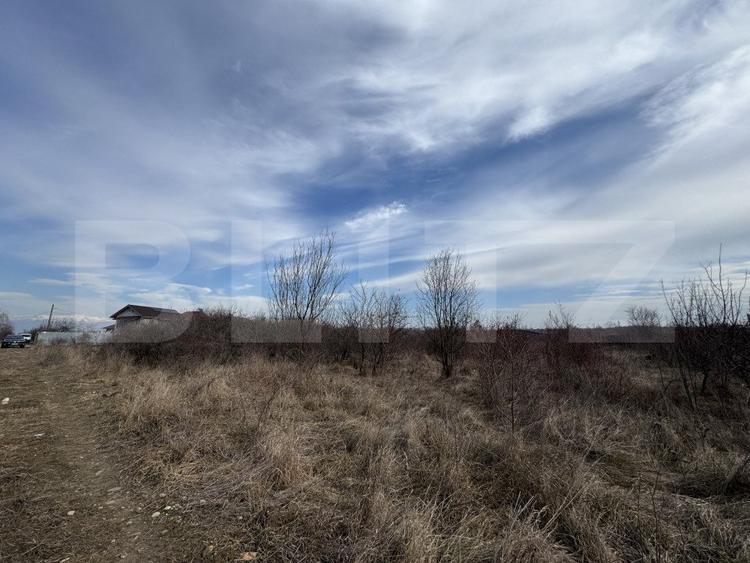 Teren extravilan de vanzare, 15.000 mp, zona Narcise II