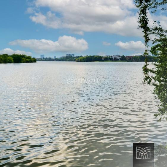 The Meadows - 11