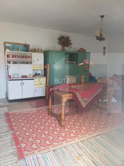 Casa taraneasca  .Dalnic - 7