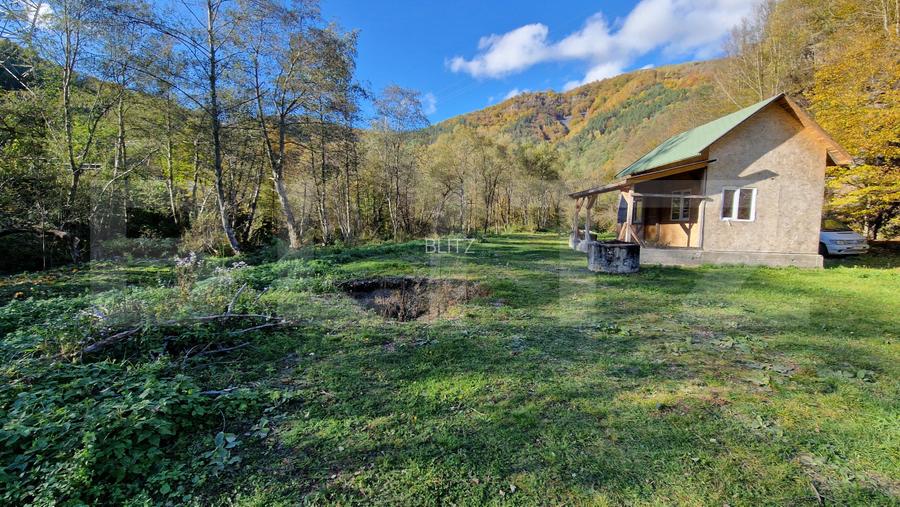Teren extravilan de 1000mp, cabana, acces direct la pârâu, zona Lacul Tarnita - 2