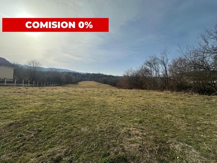 Teren intravilan de vanzare - 1028 mp - Tocile