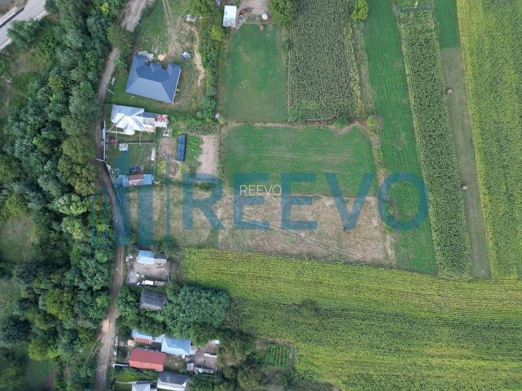 Teren intravilan 4.000 mp Blăgești, Bacău - 4