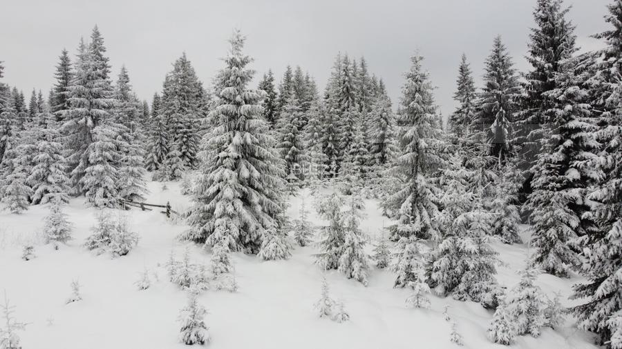Teren 2600mp - Partia Marisel - intravilan, la 5 minute de partia de ski-CU PUZ - 5