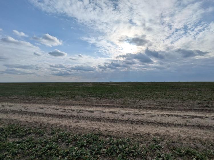 Loturi intravilane 300–500 mp, la 10 km de Centura Sud | Rate fără avans