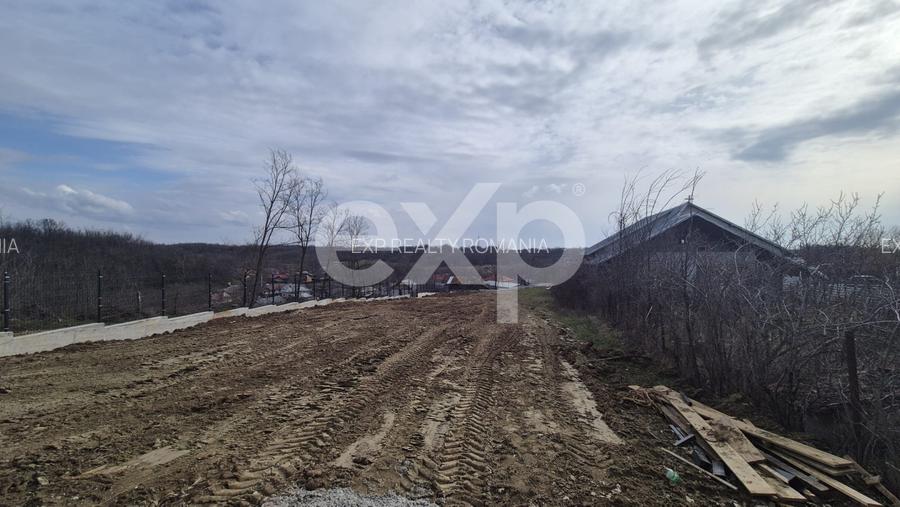 Teren 1.500 mp lângă pădure, Albota – liniște, natură și potențial de parcelare - 3