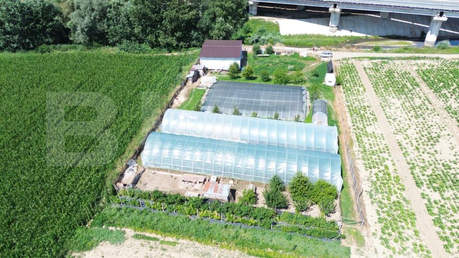 Teren extravilan 14.000 mp, Drâmbar – Ciugud | solarii, fotovoltaice