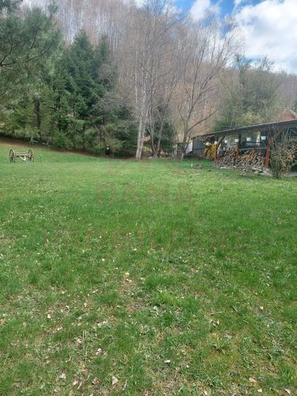 CASĂ DE VACANȚĂ 5 CAMERE,POINANA MĂRULUI, JUD.CARAȘ-SEVERIN