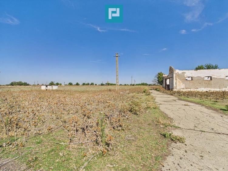 Teren intravilan 146.866 mp | Jimbolia
