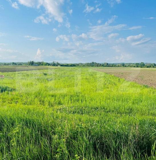 Teren 5500mp extravilan,Sat Dimoiu