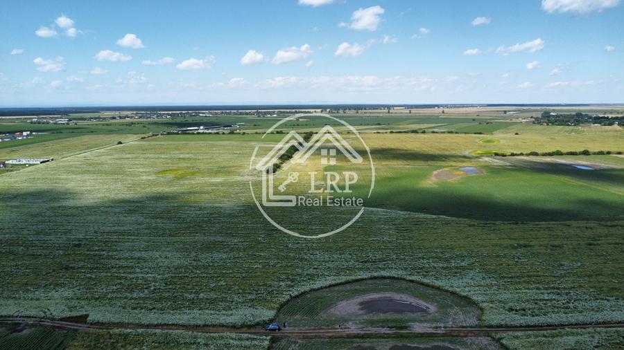 Teren Intravilan 9.918 mp Creața Dascălu, T66– Parcelabil