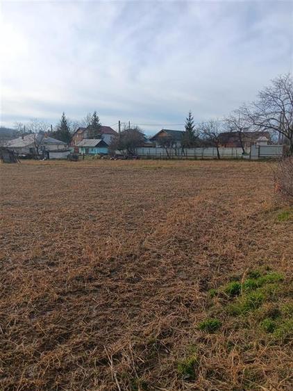 Bucium Paun central TEREN 3500mp la asfalt cu toate utilitatile
