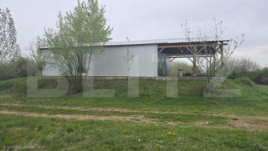Spatiu industrial Hala 106 mp, 5700 mp Teren intravilan - Livada