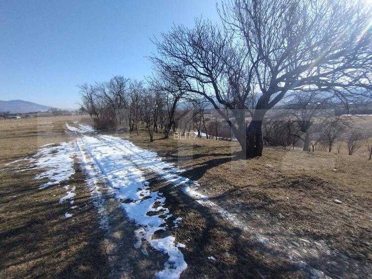 Teren extravilan de vanzare, 25 ari, zona Rusul Bargaului - 3